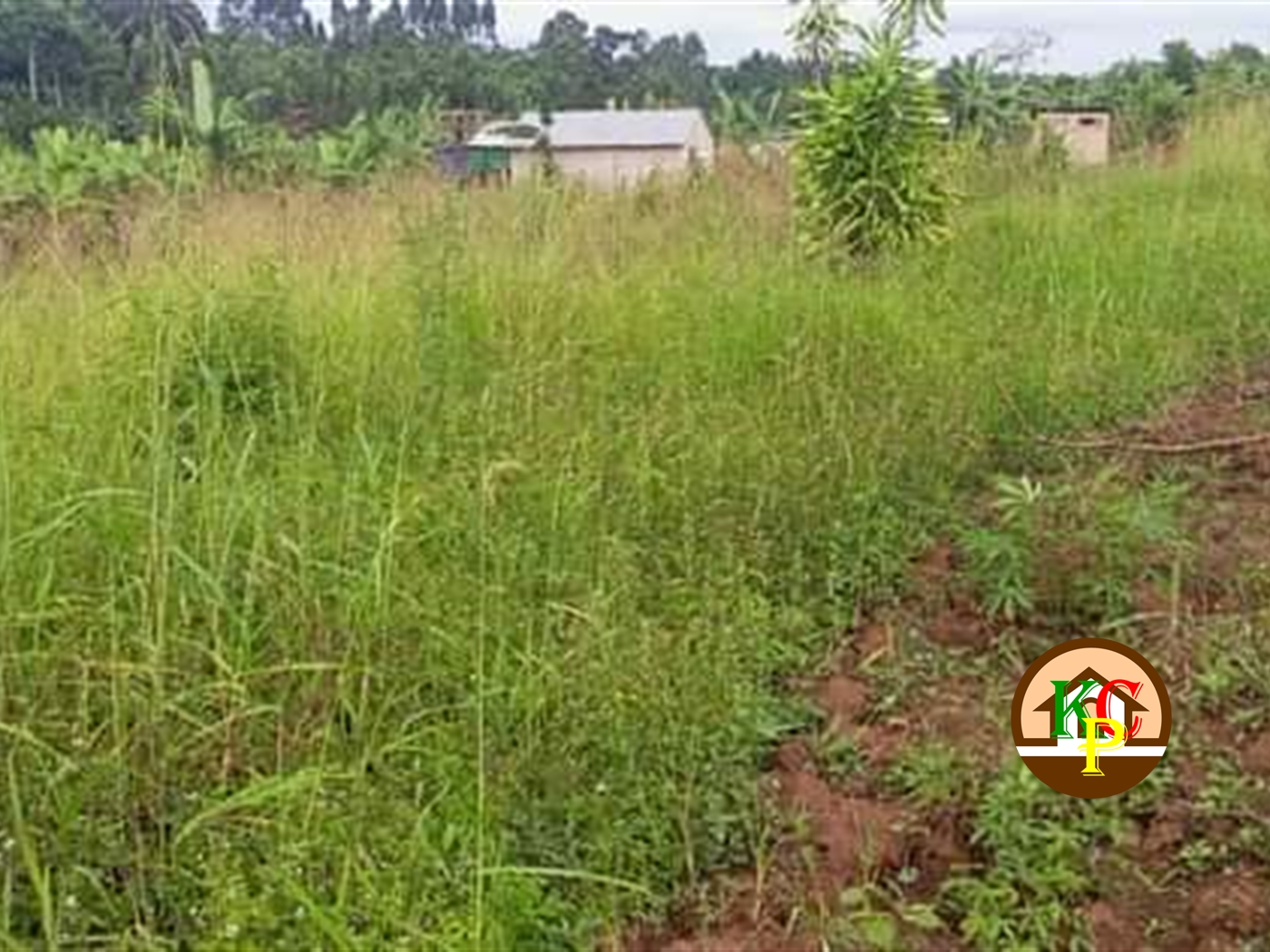 Residential Land for sale in Gayaza Wakiso