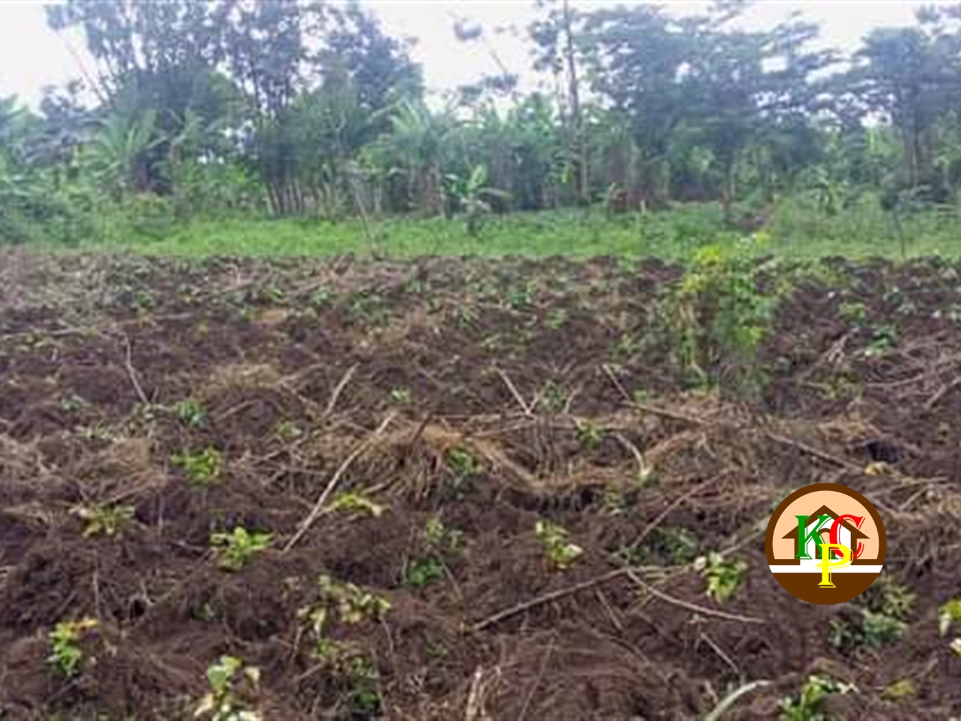 Residential Land for sale in Gayaza Wakiso