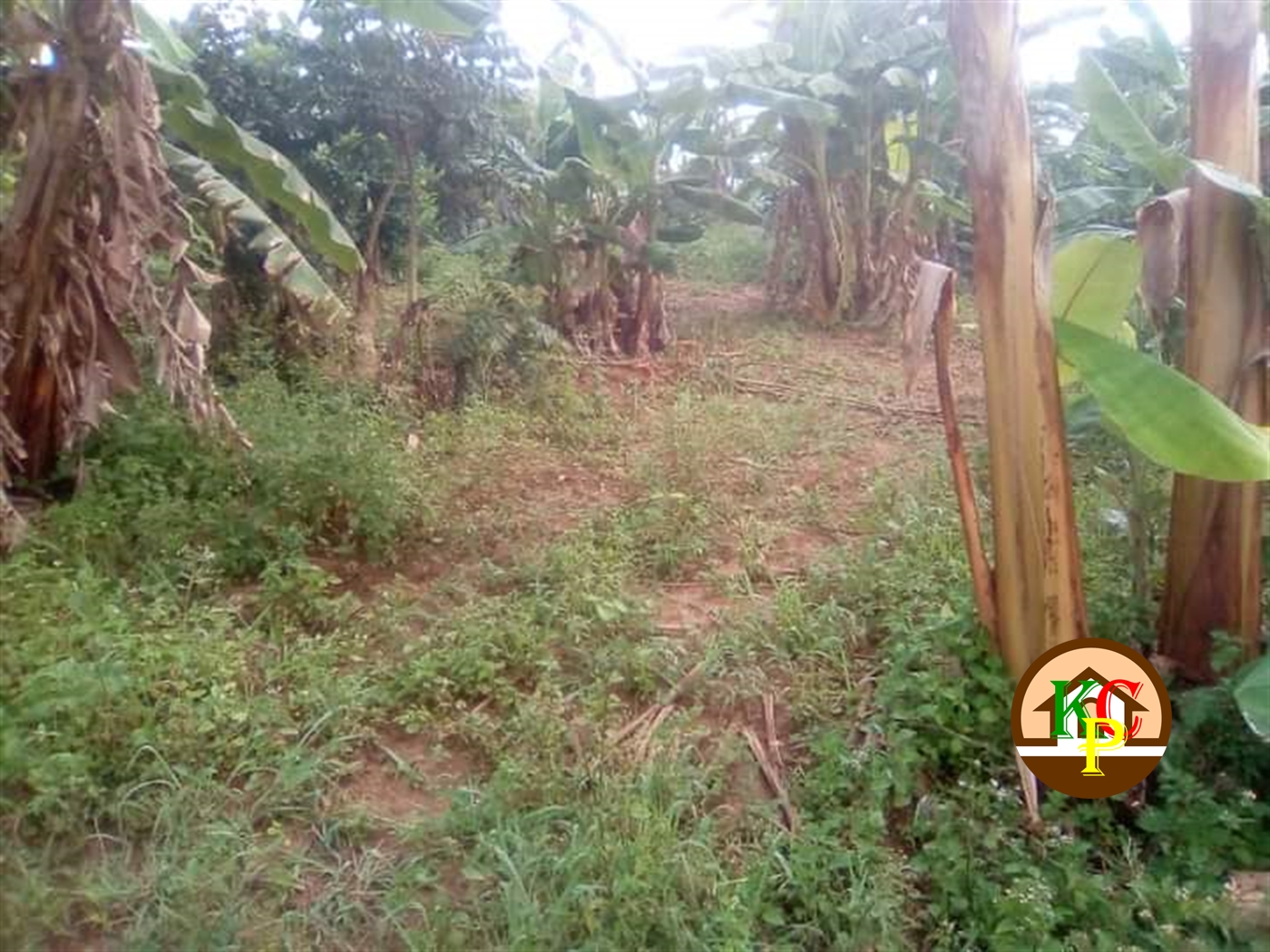 Residential Land for sale in Gayaza Wakiso