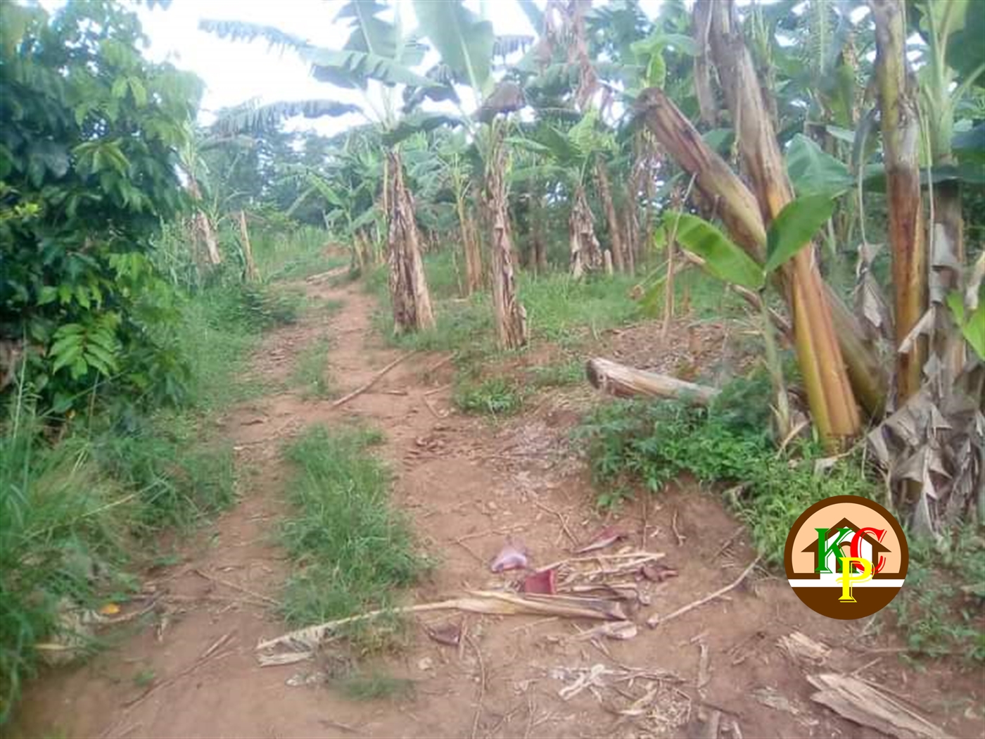 Residential Land for sale in Gayaza Wakiso