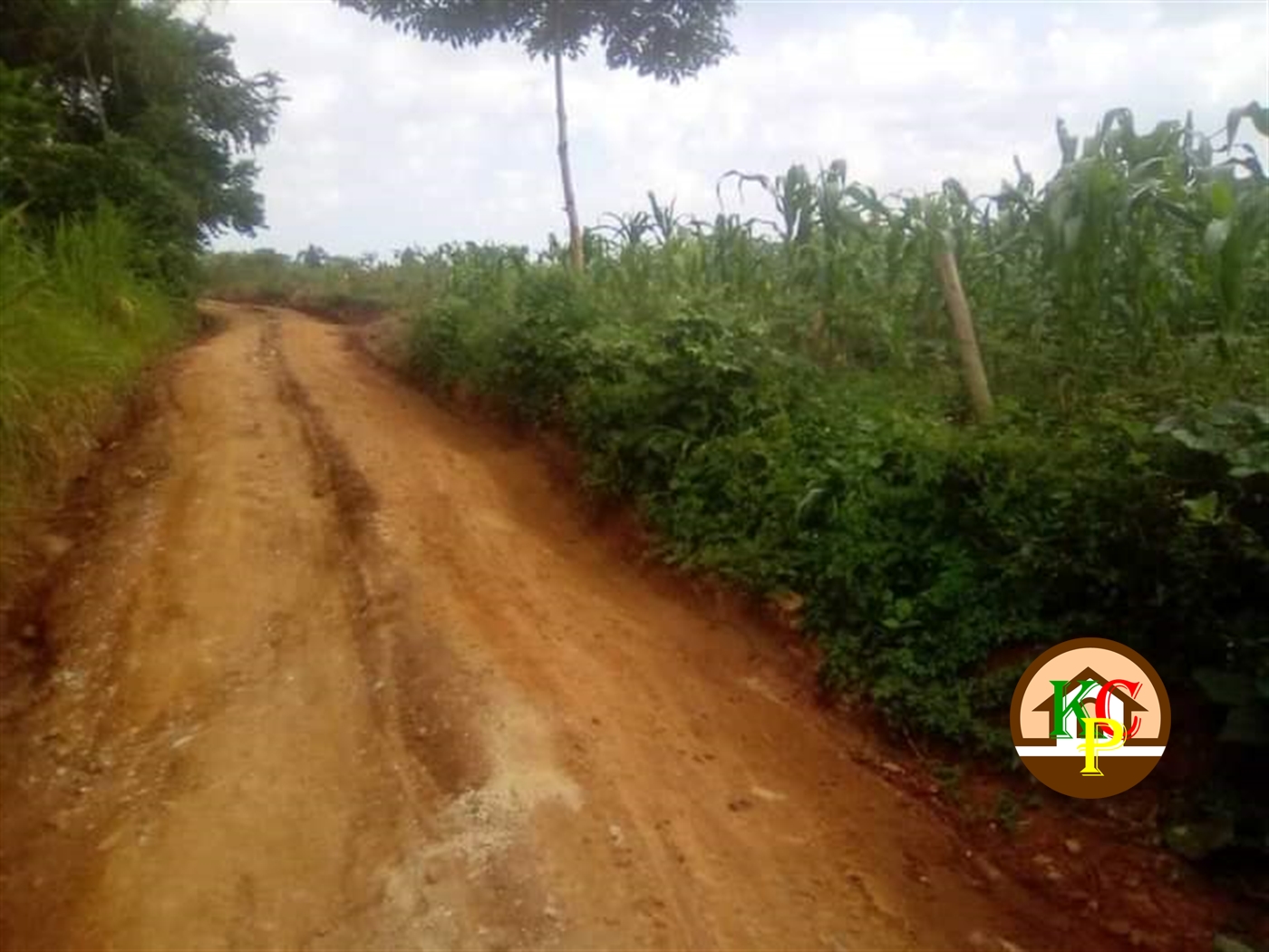 Residential Land for sale in Gayaza Wakiso