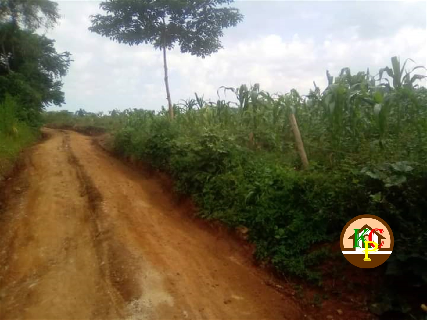 Residential Land for sale in Gayaza Wakiso