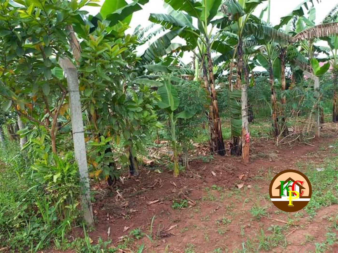 Residential Land for sale in Gayaza Wakiso