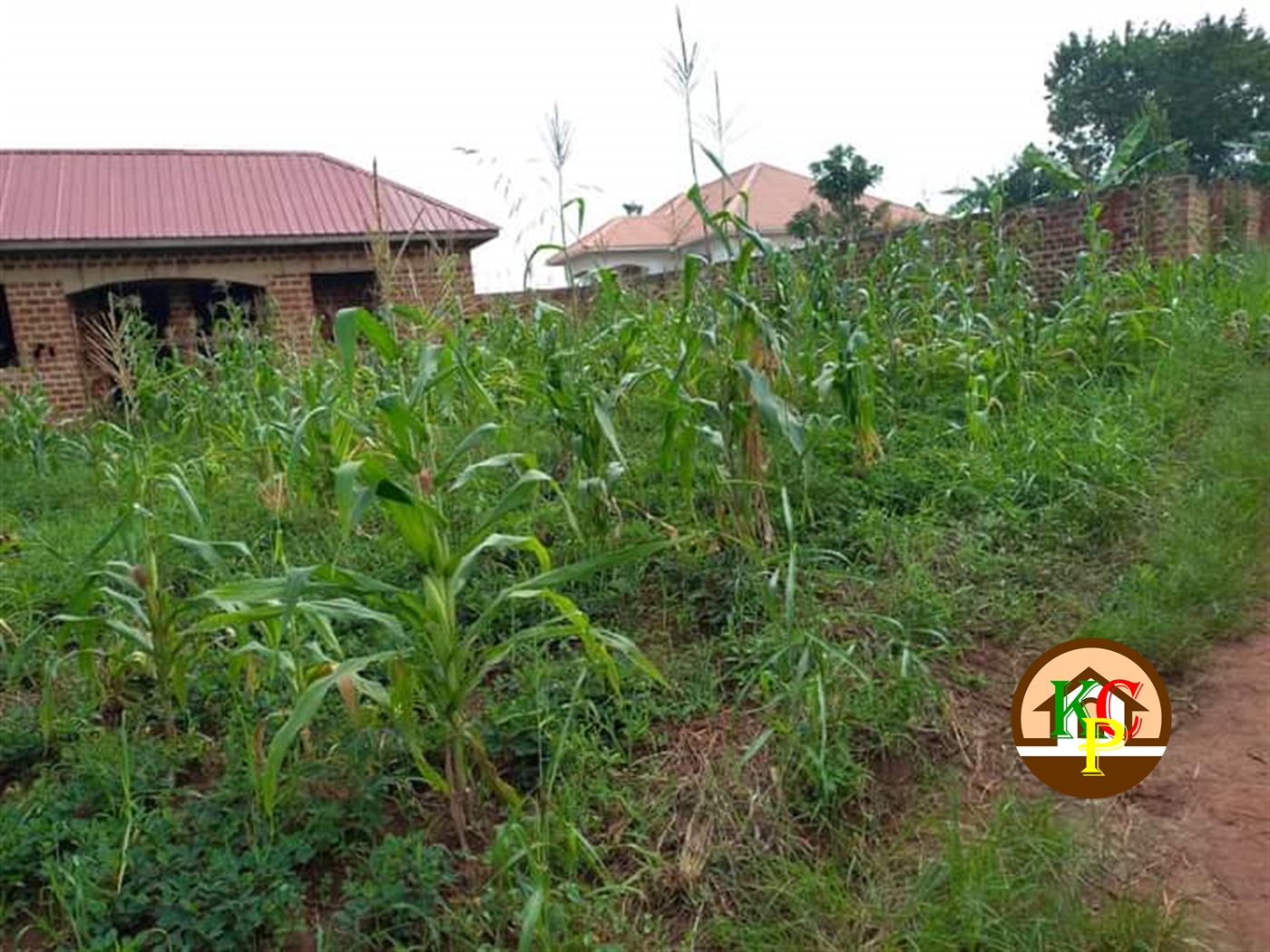 Residential Land for sale in Gayaza Wakiso