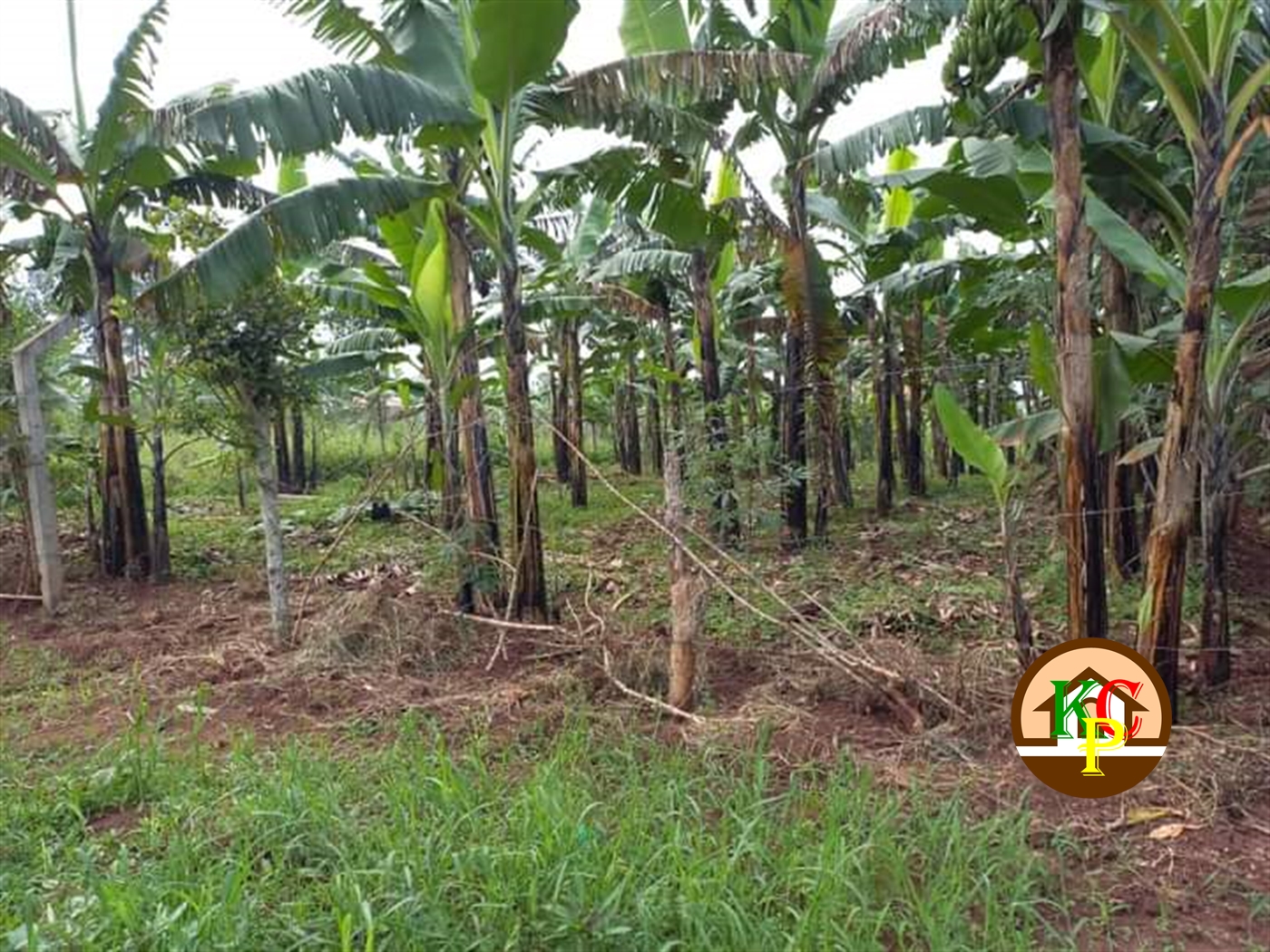 Residential Land for sale in Gayaza Wakiso