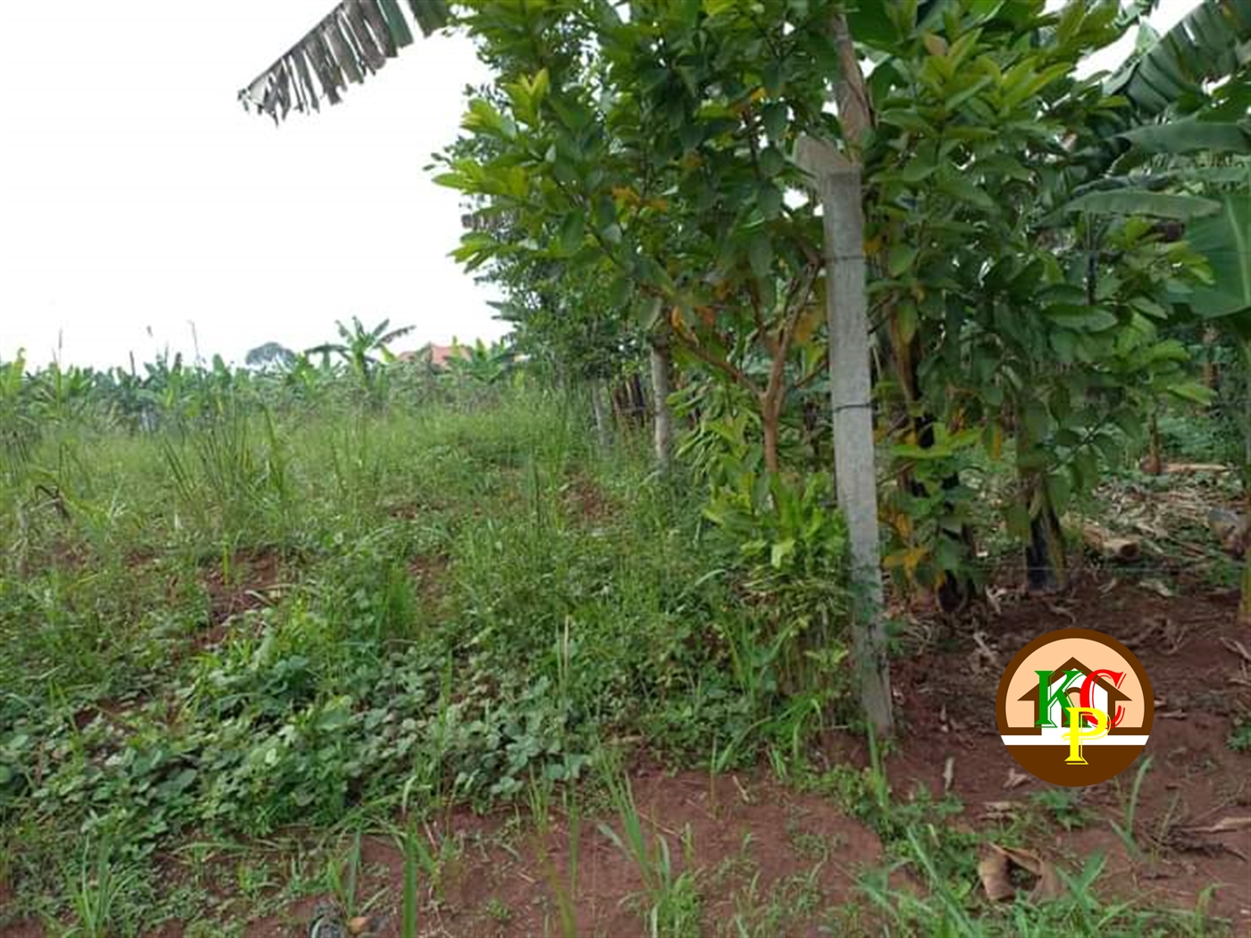 Residential Land for sale in Gayaza Wakiso