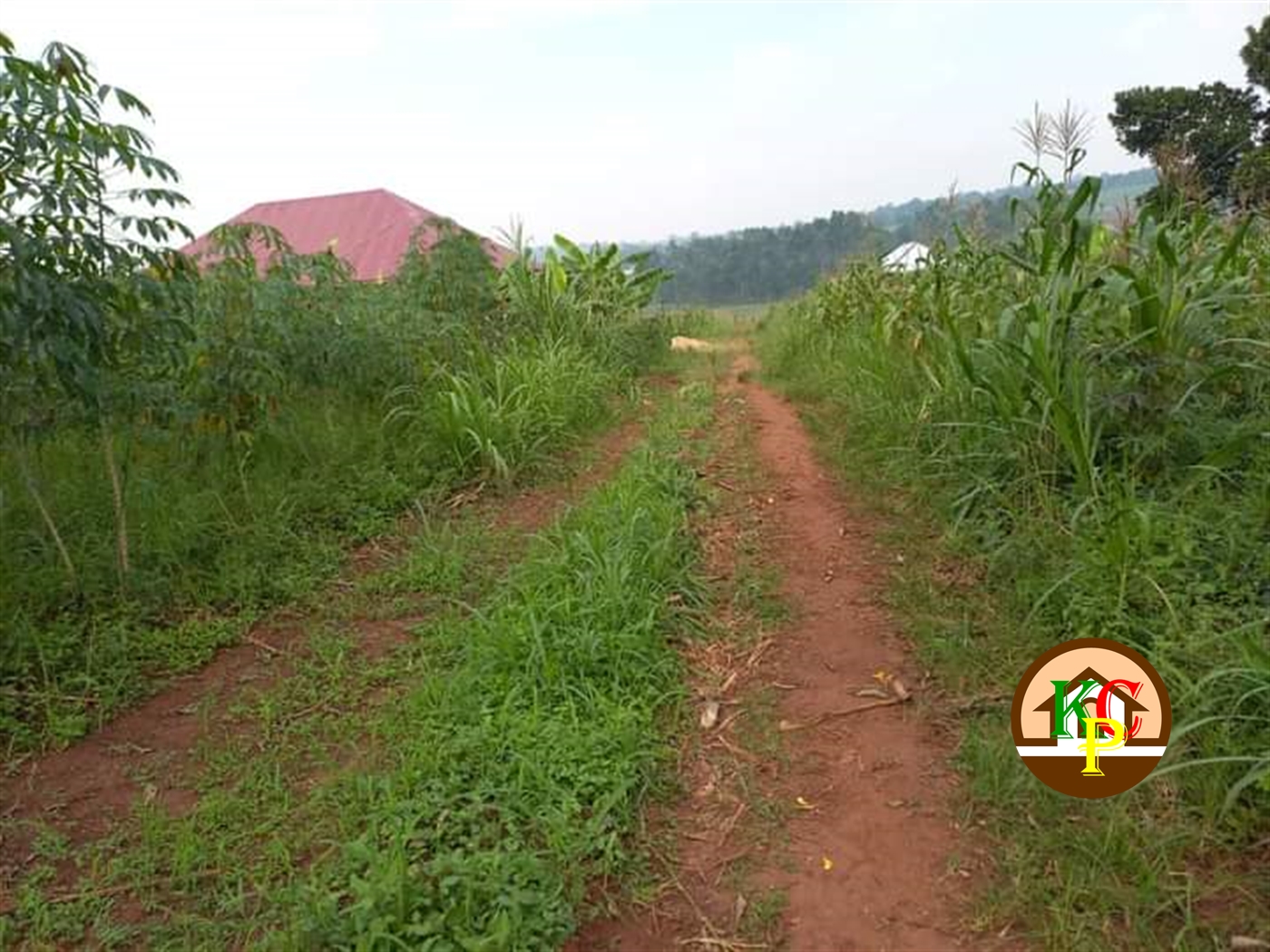 Residential Land for sale in Gayaza Wakiso