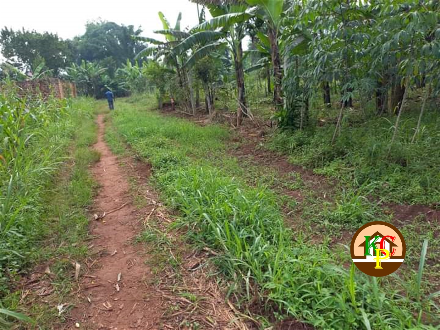 Residential Land for sale in Gayaza Wakiso