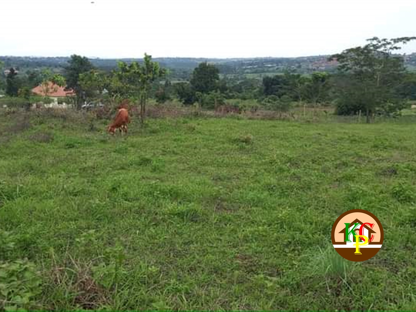 Residential Land for sale in Gayaza Wakiso