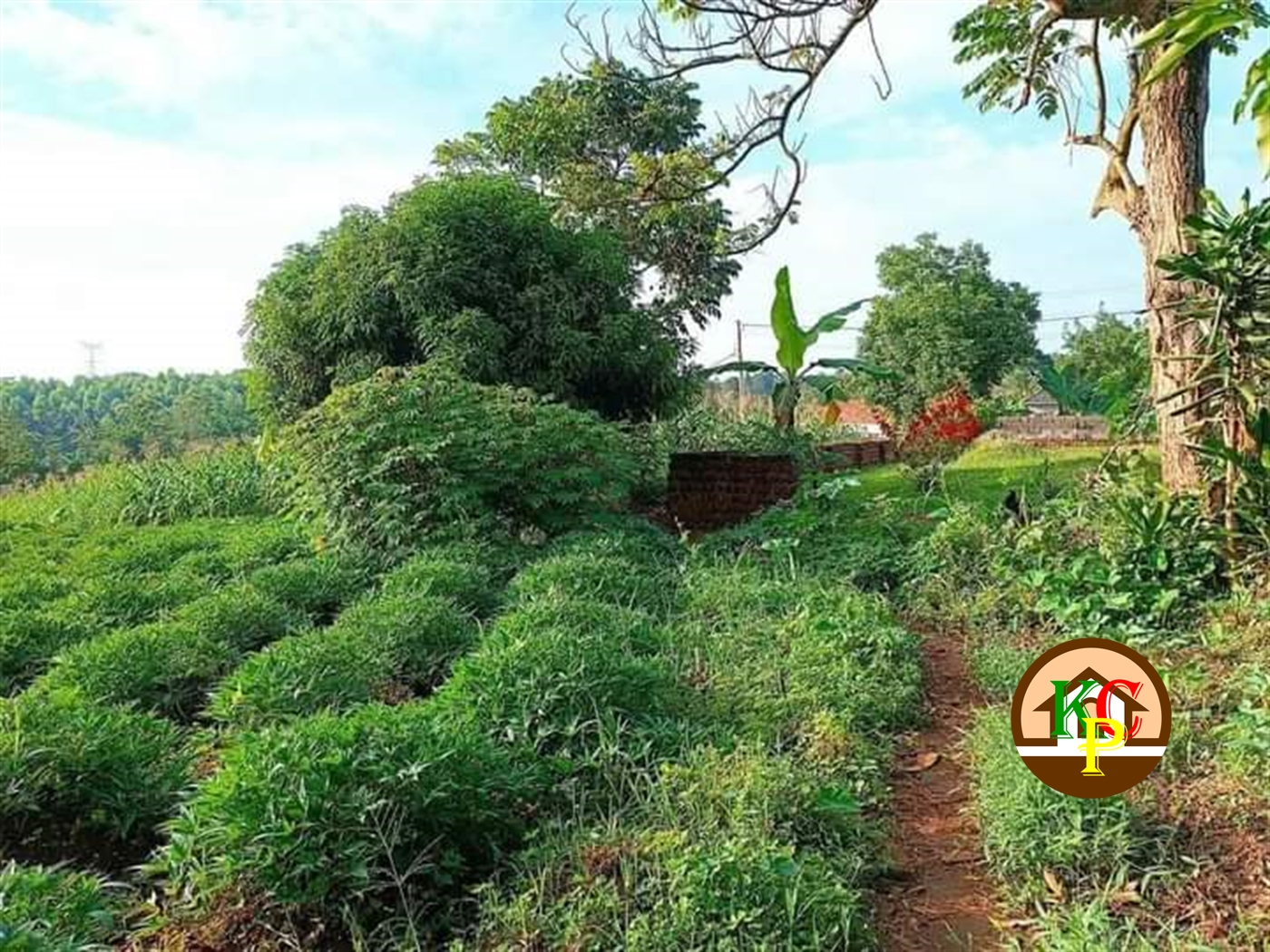 Residential Land for sale in Namugongo Wakiso