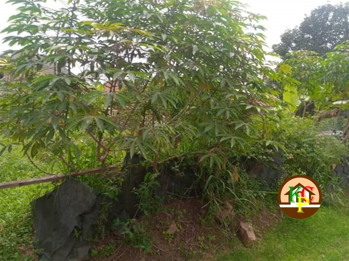 Residential Land for sale in Namugongo Wakiso