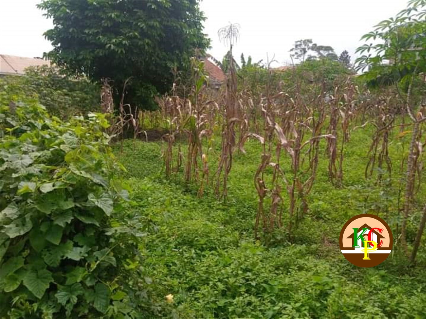 Residential Land for sale in Namugongo Wakiso