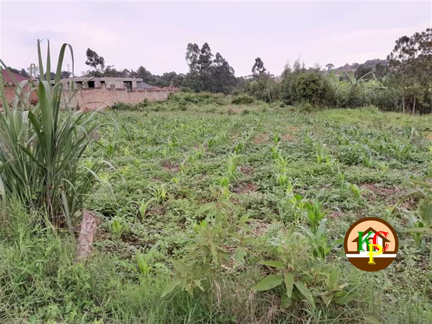 Residential Land for sale in Namugongo Wakiso