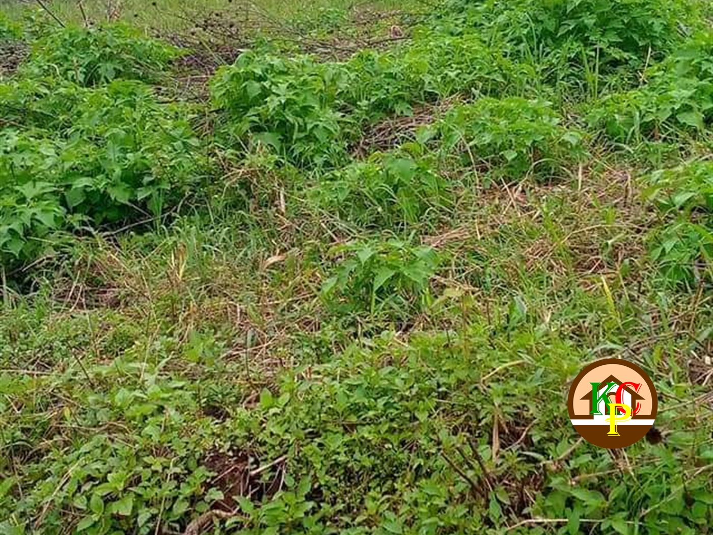 Residential Land for sale in Kira Wakiso