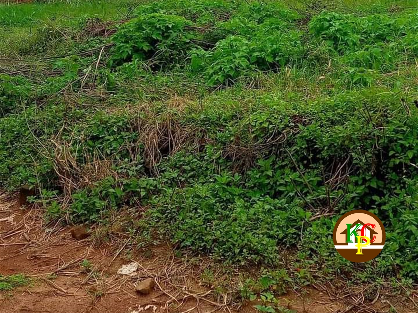 Residential Land for sale in Kira Wakiso