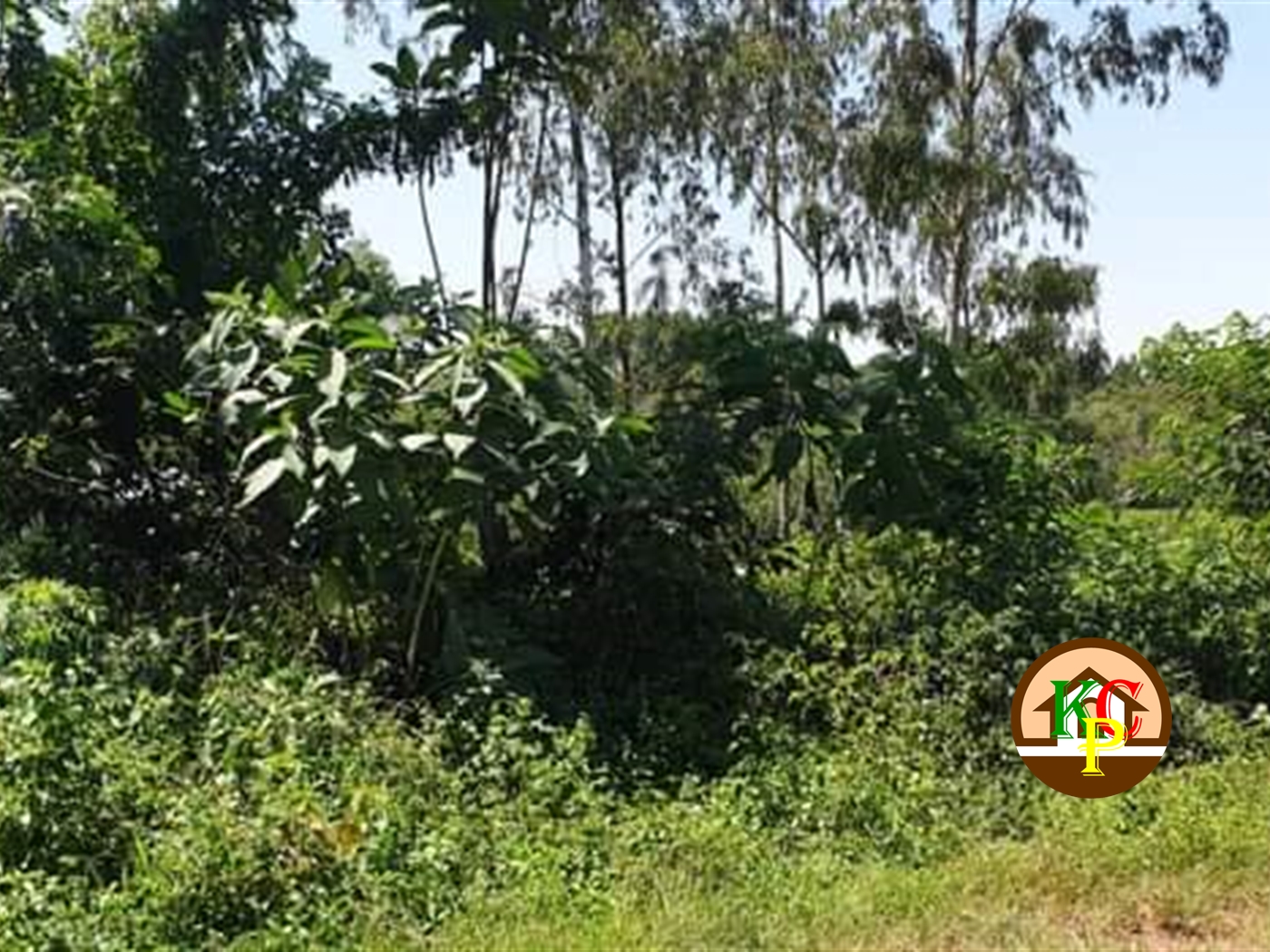 Residential Land for sale in Gayaza Wakiso