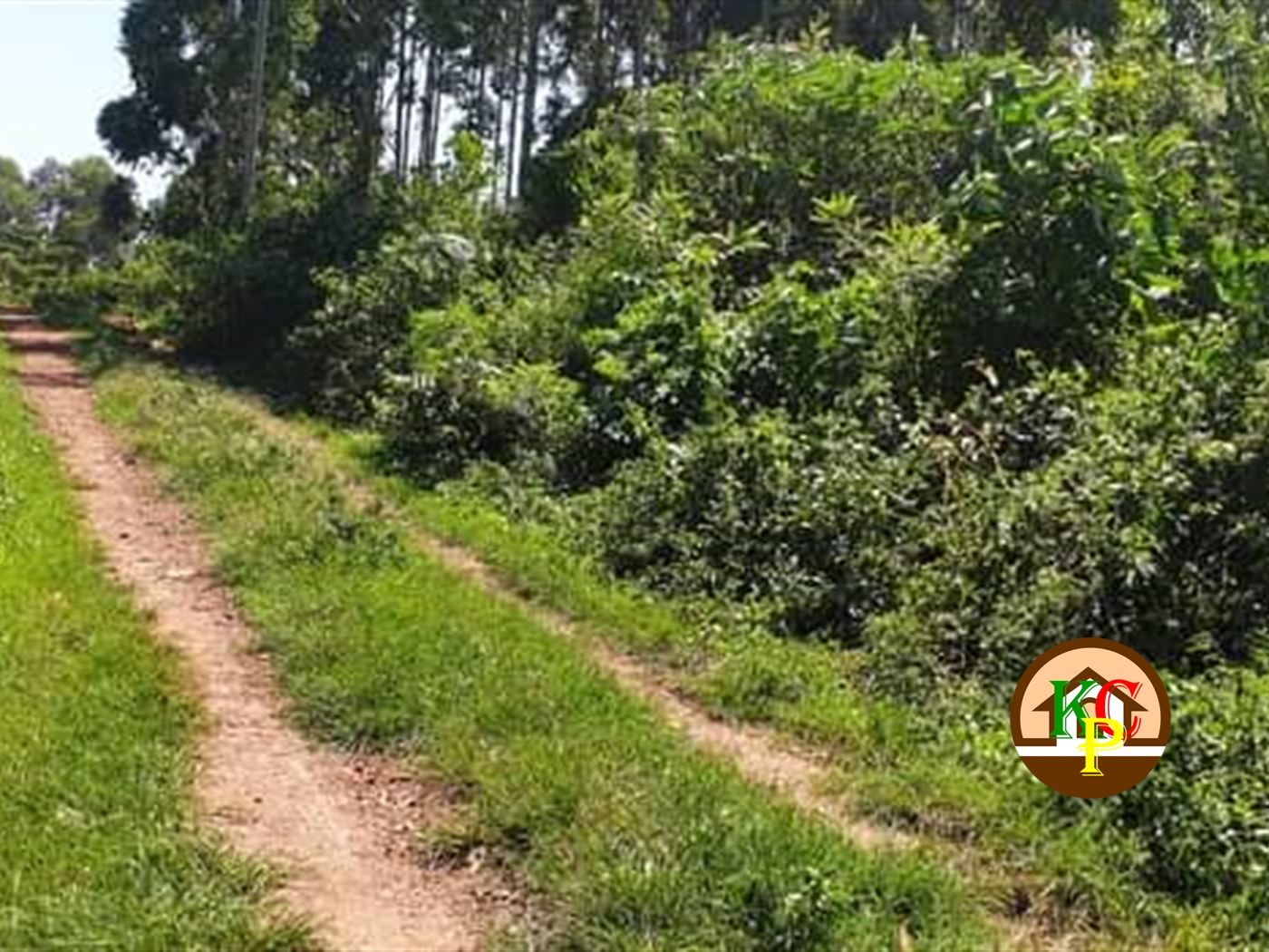 Residential Land for sale in Gayaza Wakiso