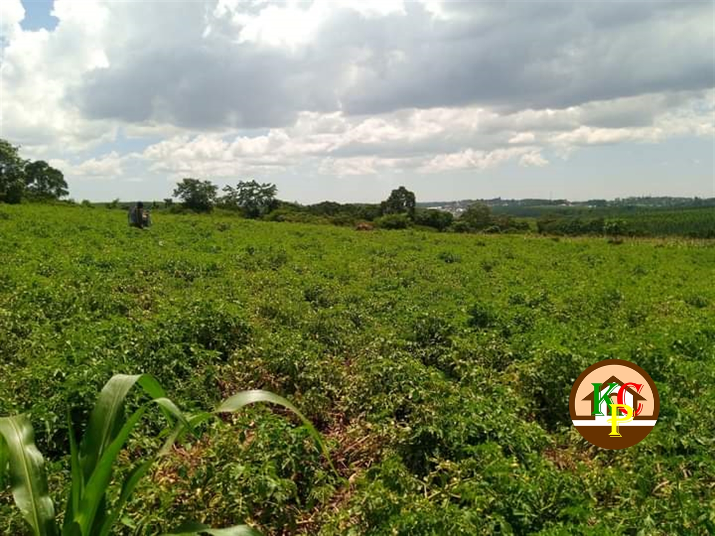 Residential Land for sale in Mpoma Mukono