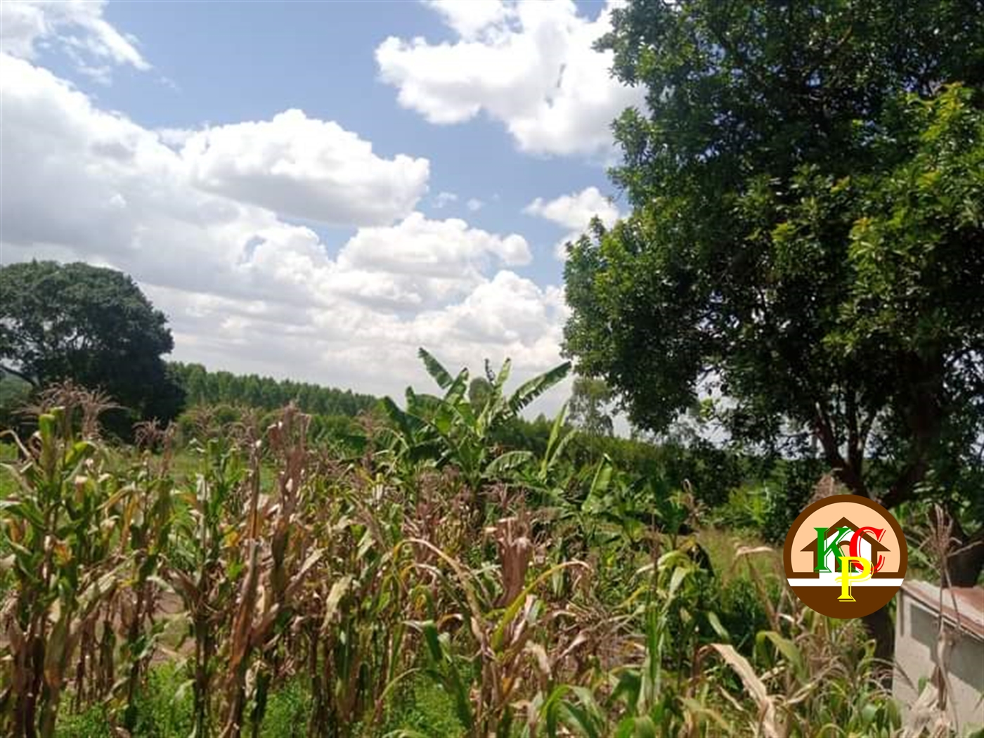 Residential Land for sale in Mpoma Mukono