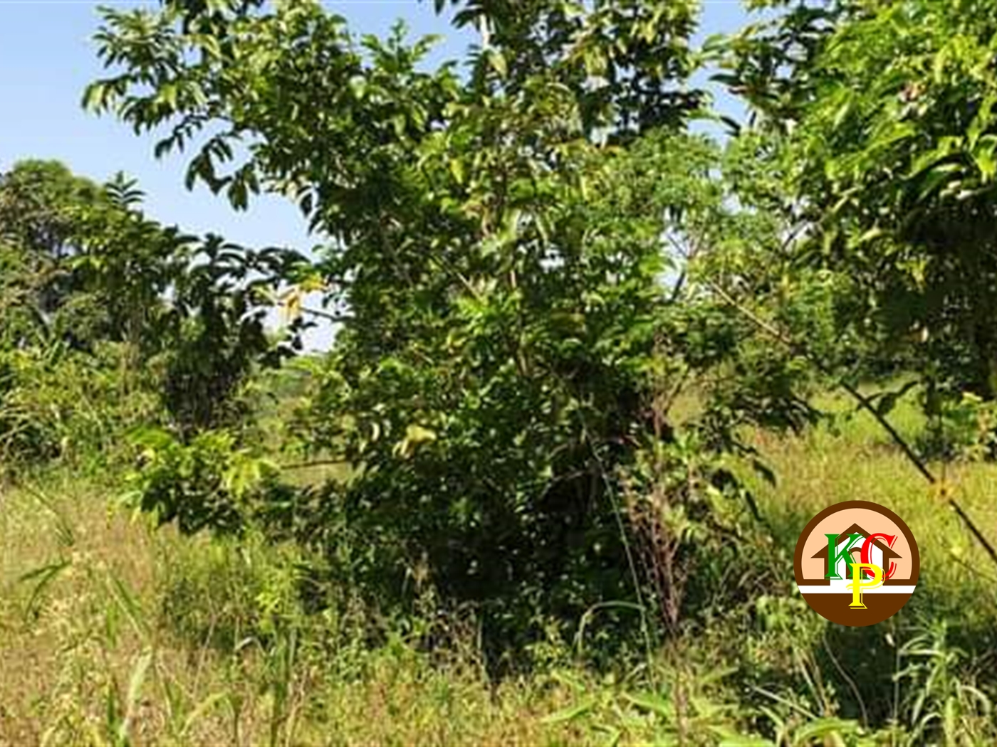 Residential Land for sale in Busiika Luweero