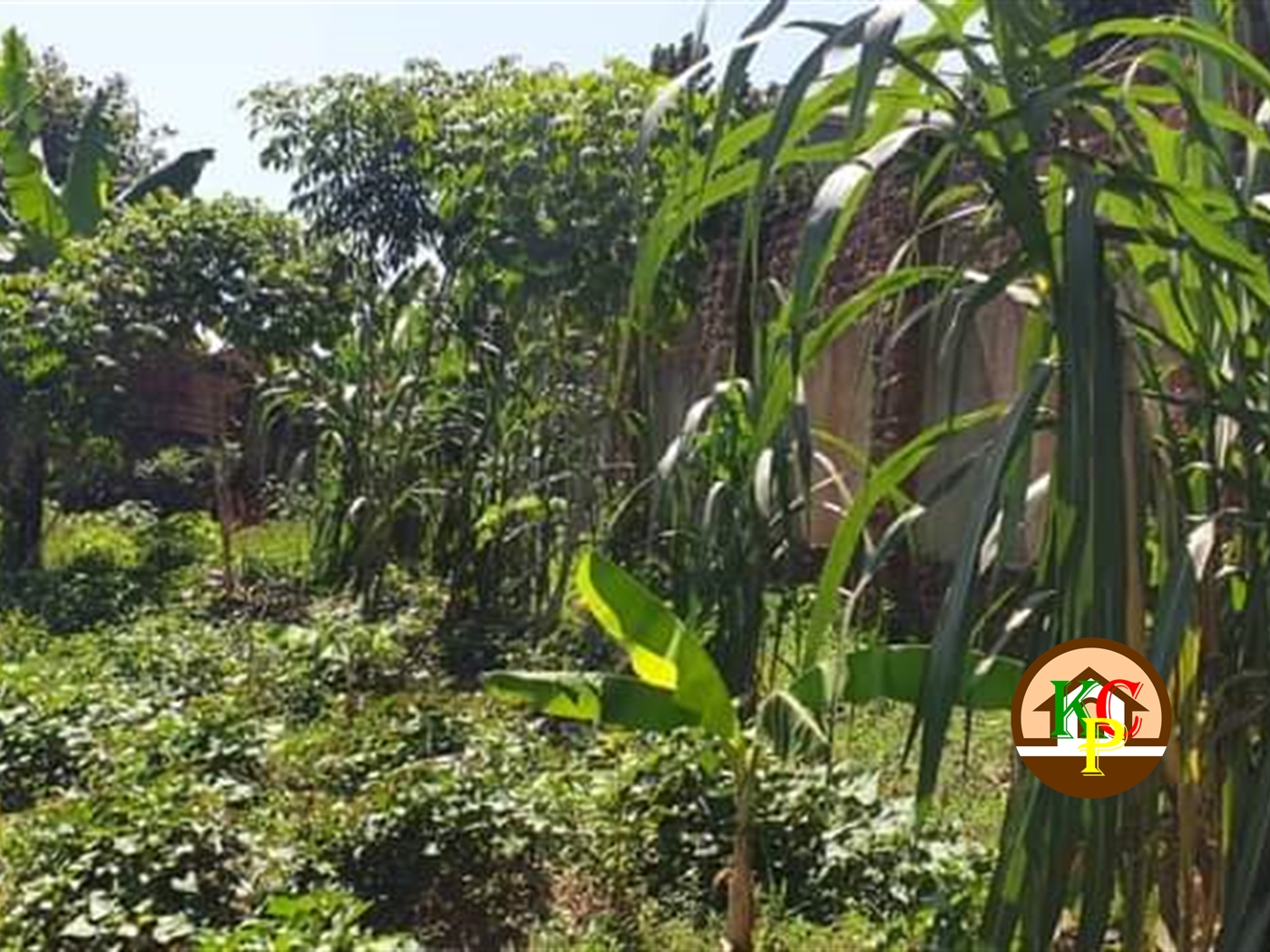 Residential Land for sale in Kira Wakiso