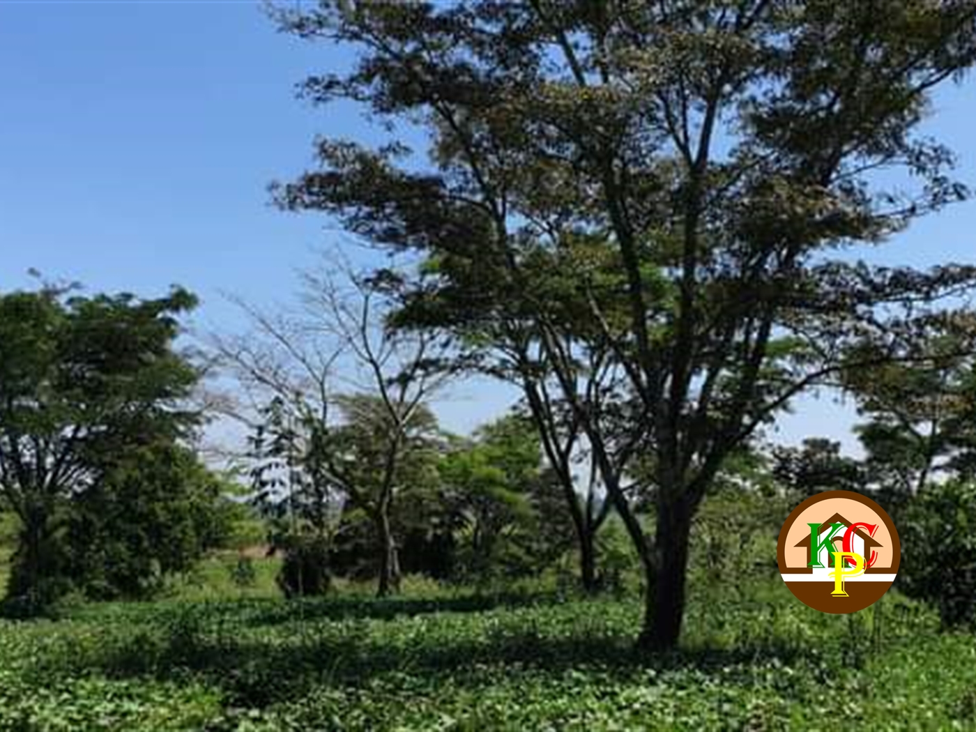 Residential Land for sale in Busiika Luweero