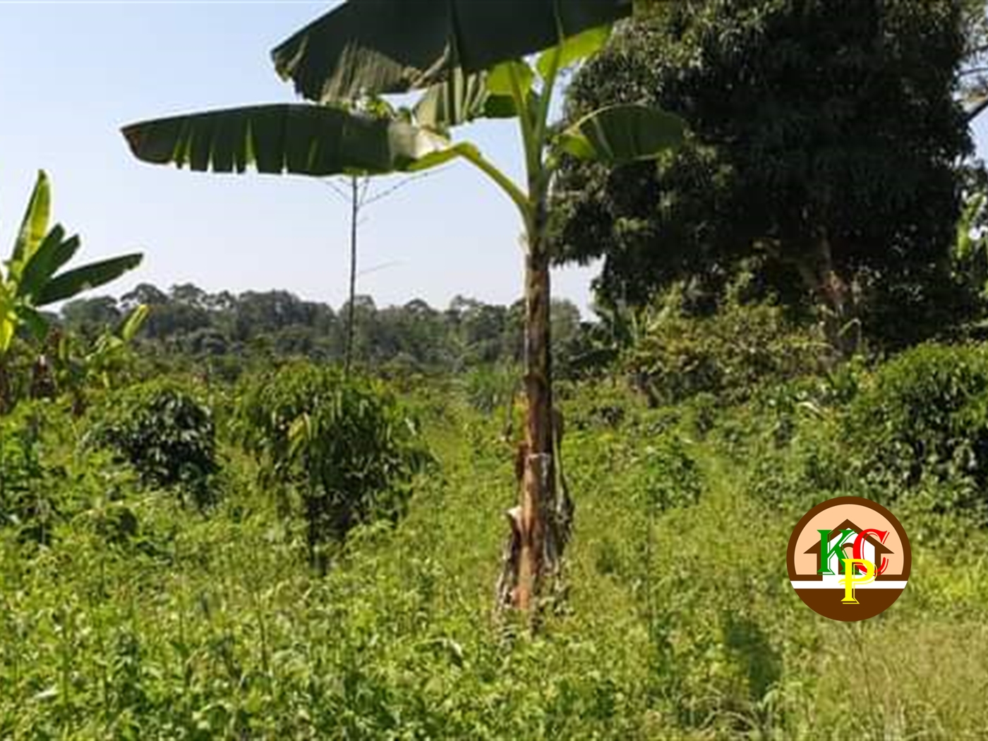 Residential Land for sale in Busiika Luweero