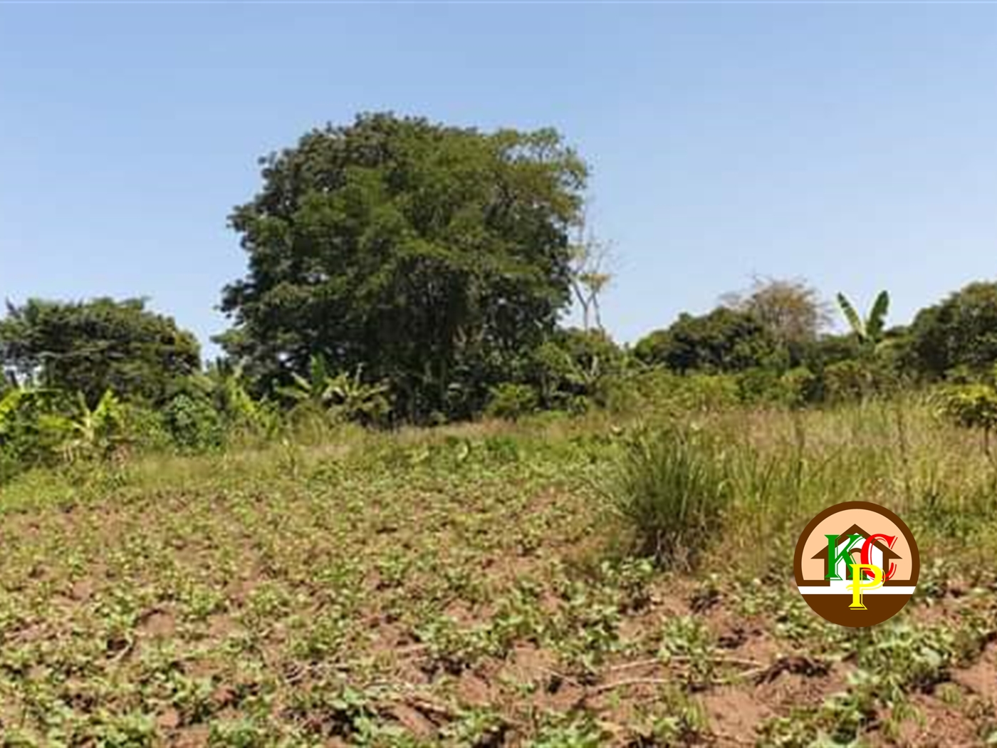 Residential Land for sale in Busiika Luweero