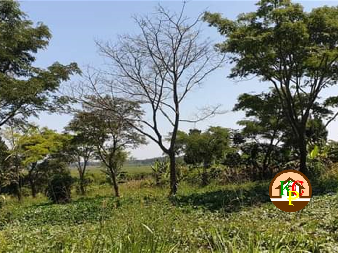 Residential Land for sale in Busiika Luweero