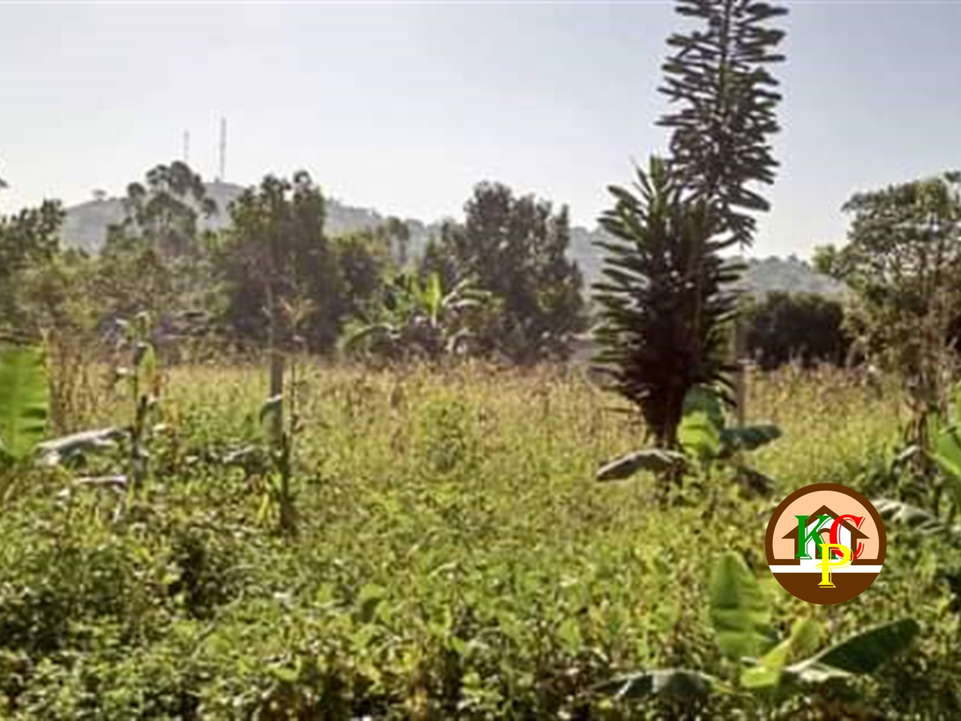 Residential Land for sale in Namugongo Wakiso