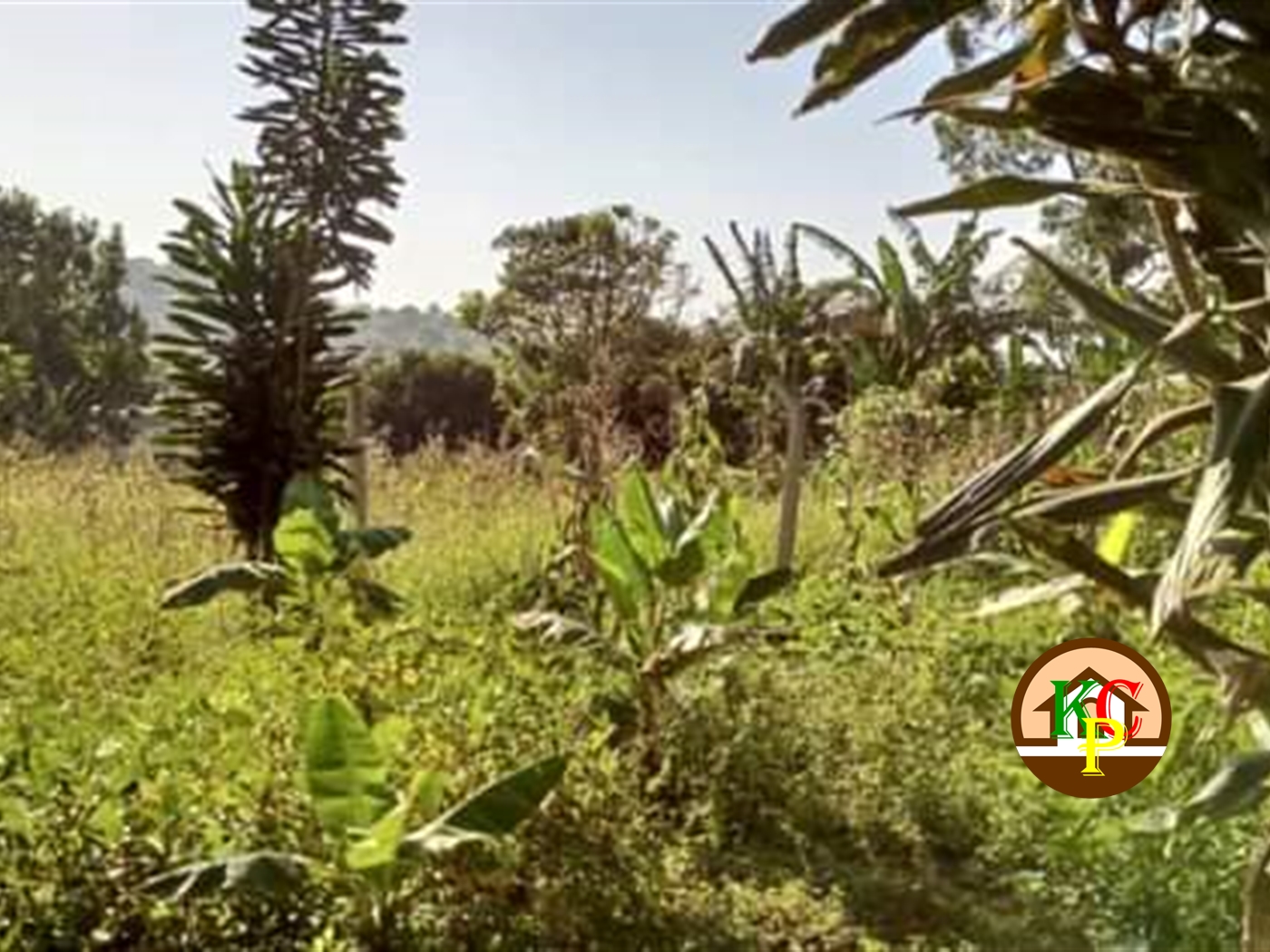 Residential Land for sale in Namugongo Wakiso