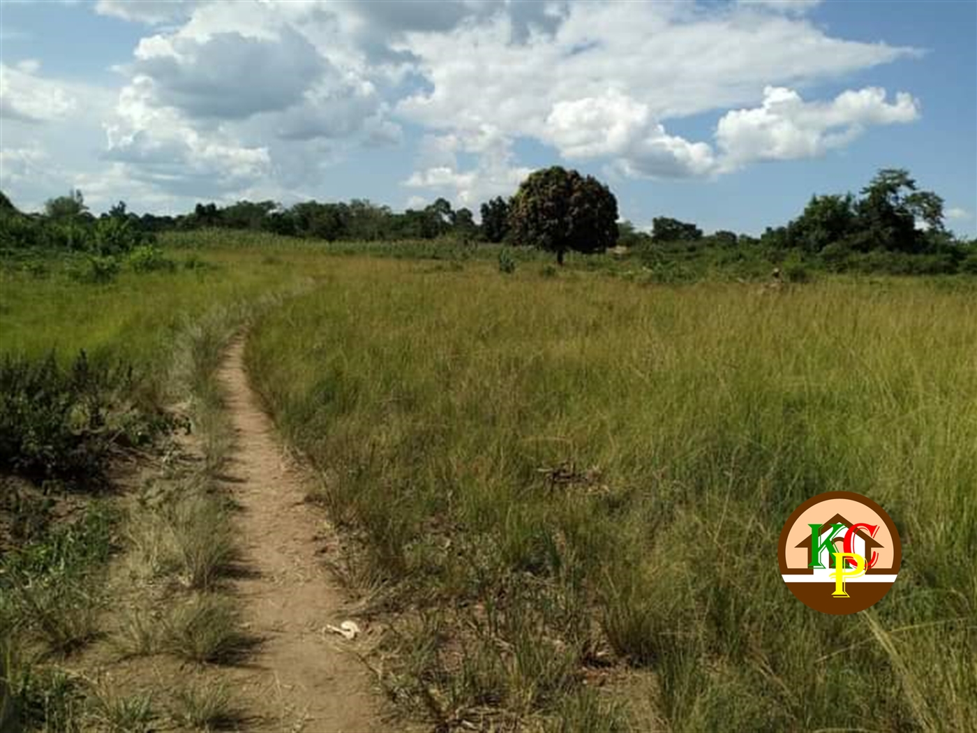 Residential Land for sale in Namasagali Kamuli