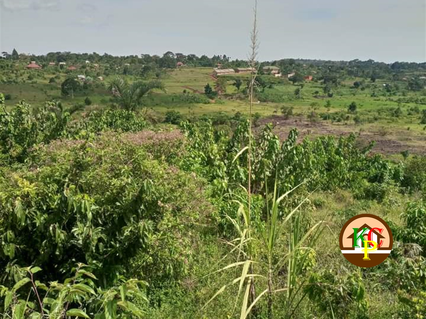 Residential Land for sale in Ntenjjeru Mukono