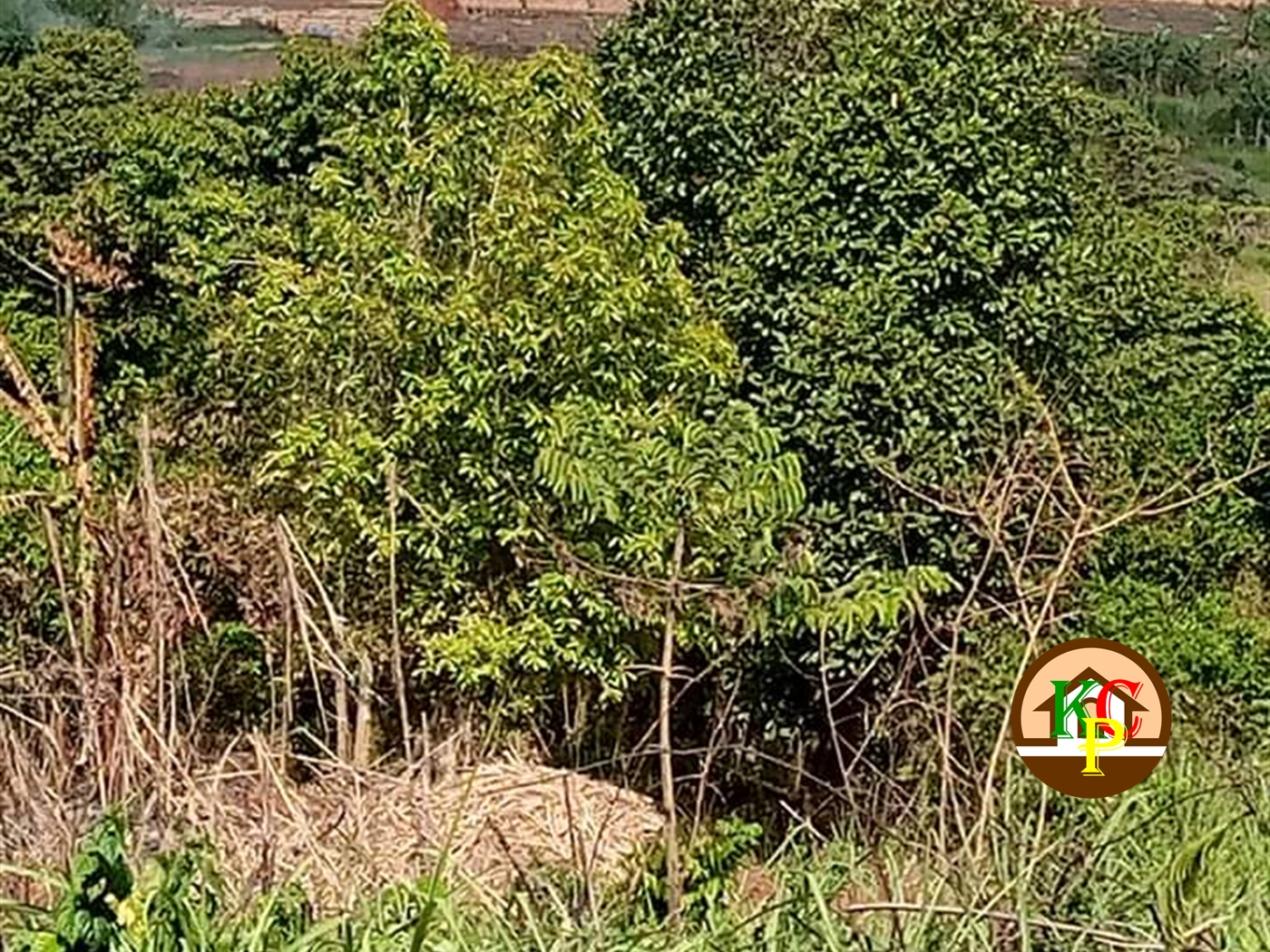 Residential Land for sale in Ntenjjeru Mukono