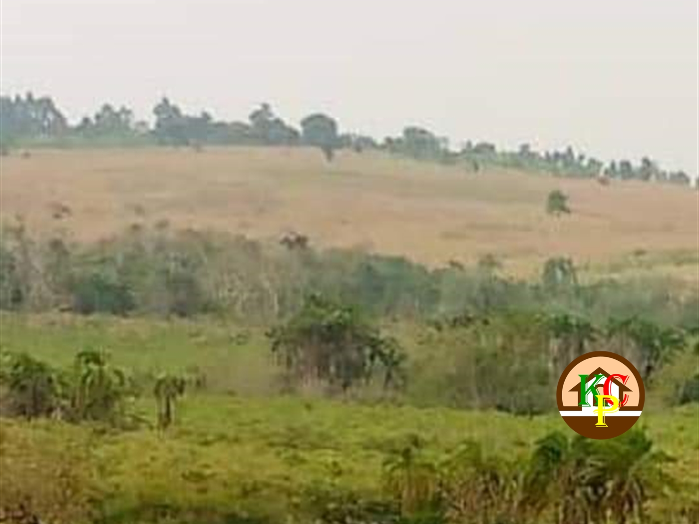 Residential Land for sale in Nakaseke Luweero