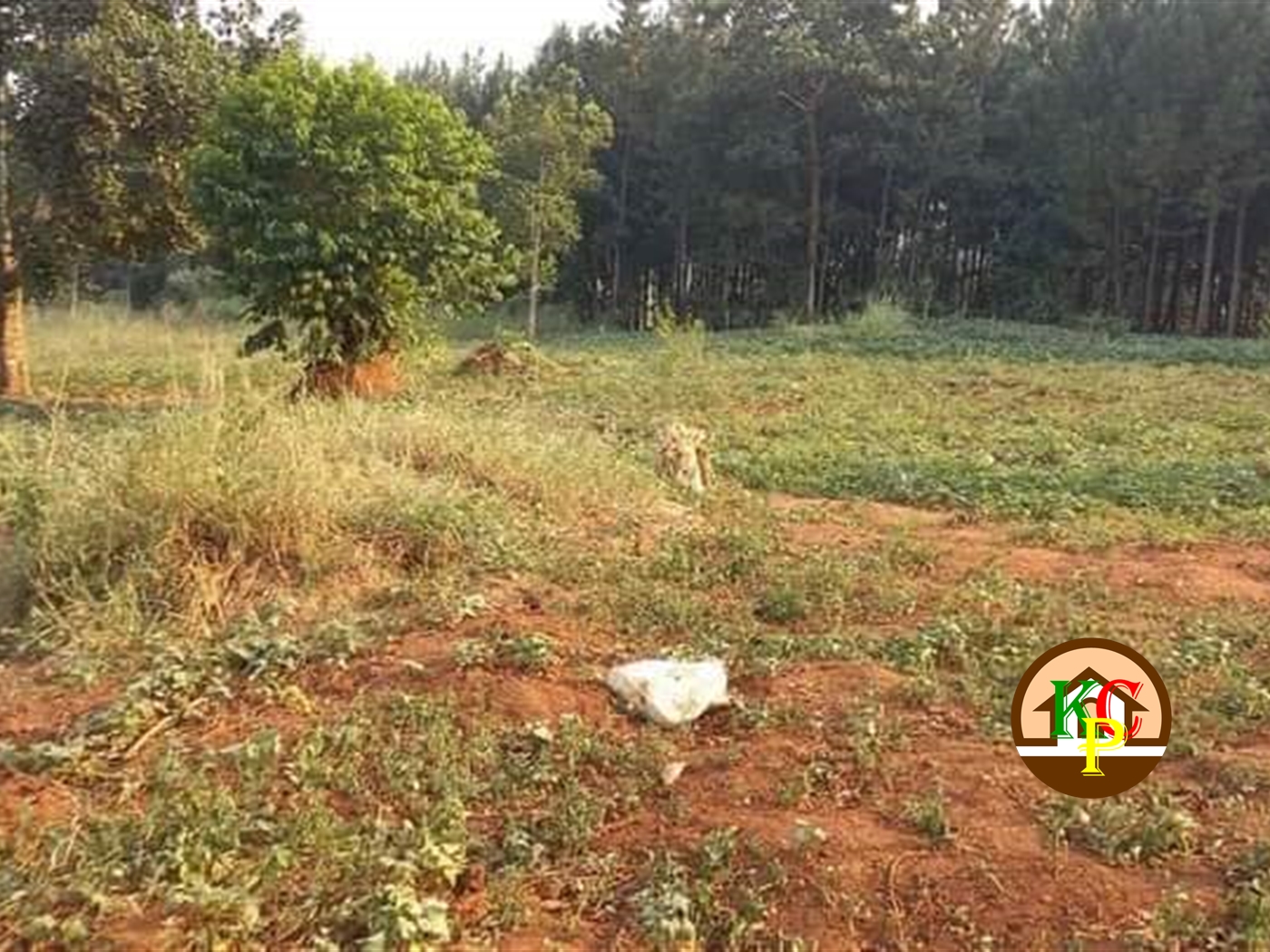 Residential Land for sale in Gayaza Wakiso