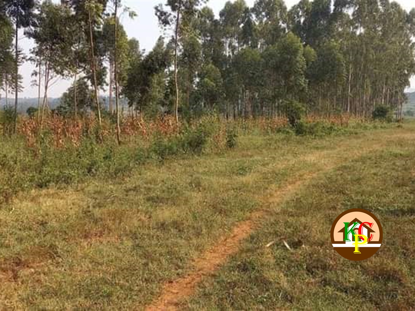 Residential Land for sale in Gayaza Wakiso