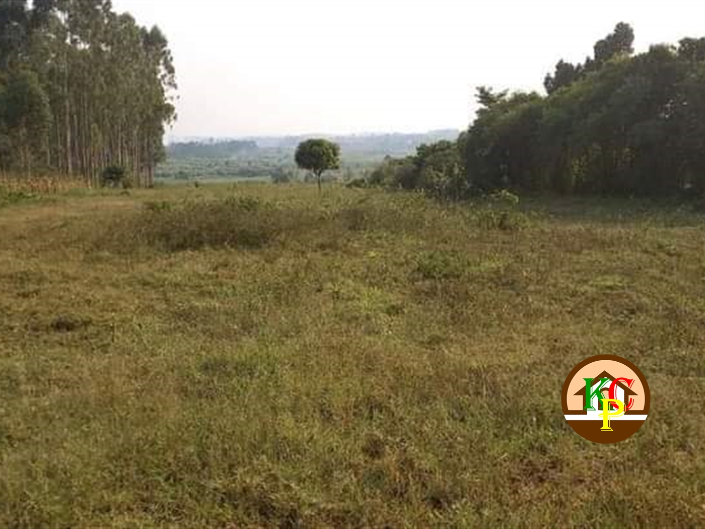 Residential Land for sale in Gayaza Wakiso