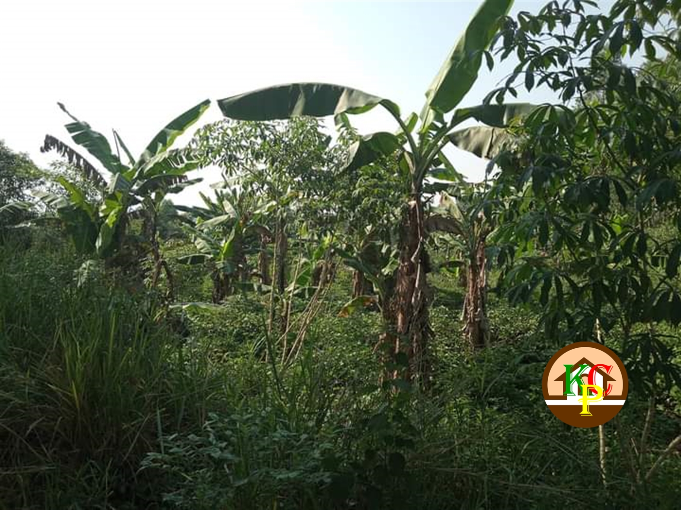 Residential Land for sale in Matugga Wakiso