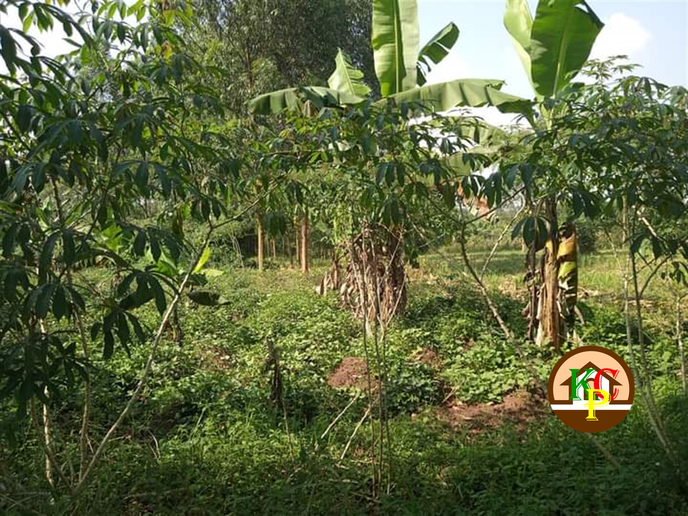 Residential Land for sale in Matugga Wakiso