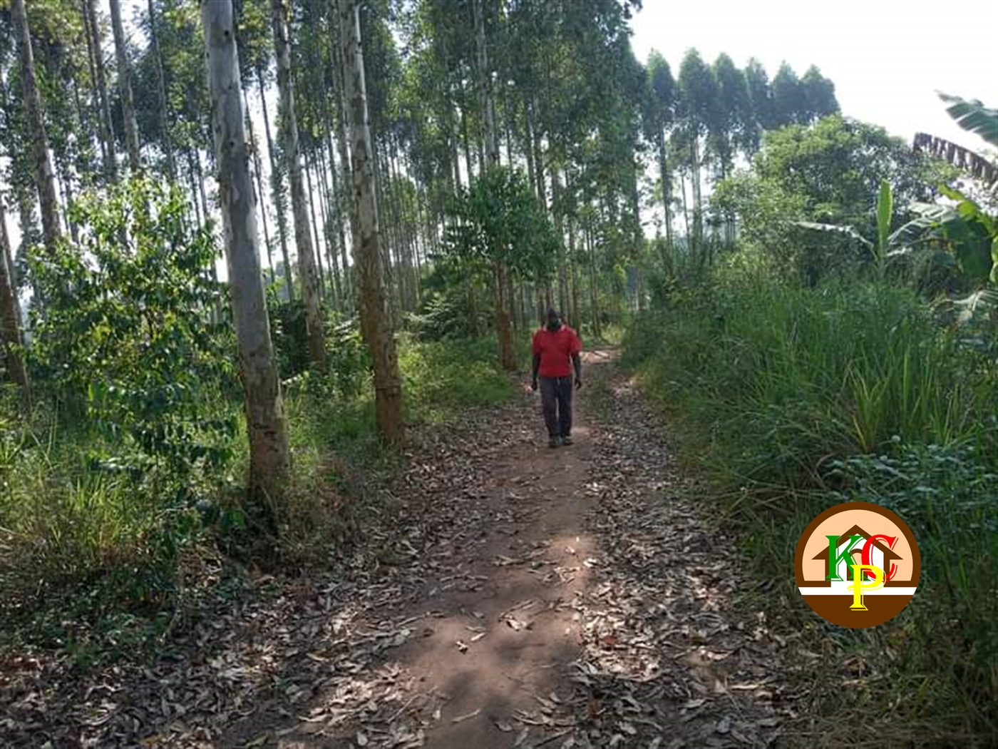 Residential Land for sale in Matugga Wakiso