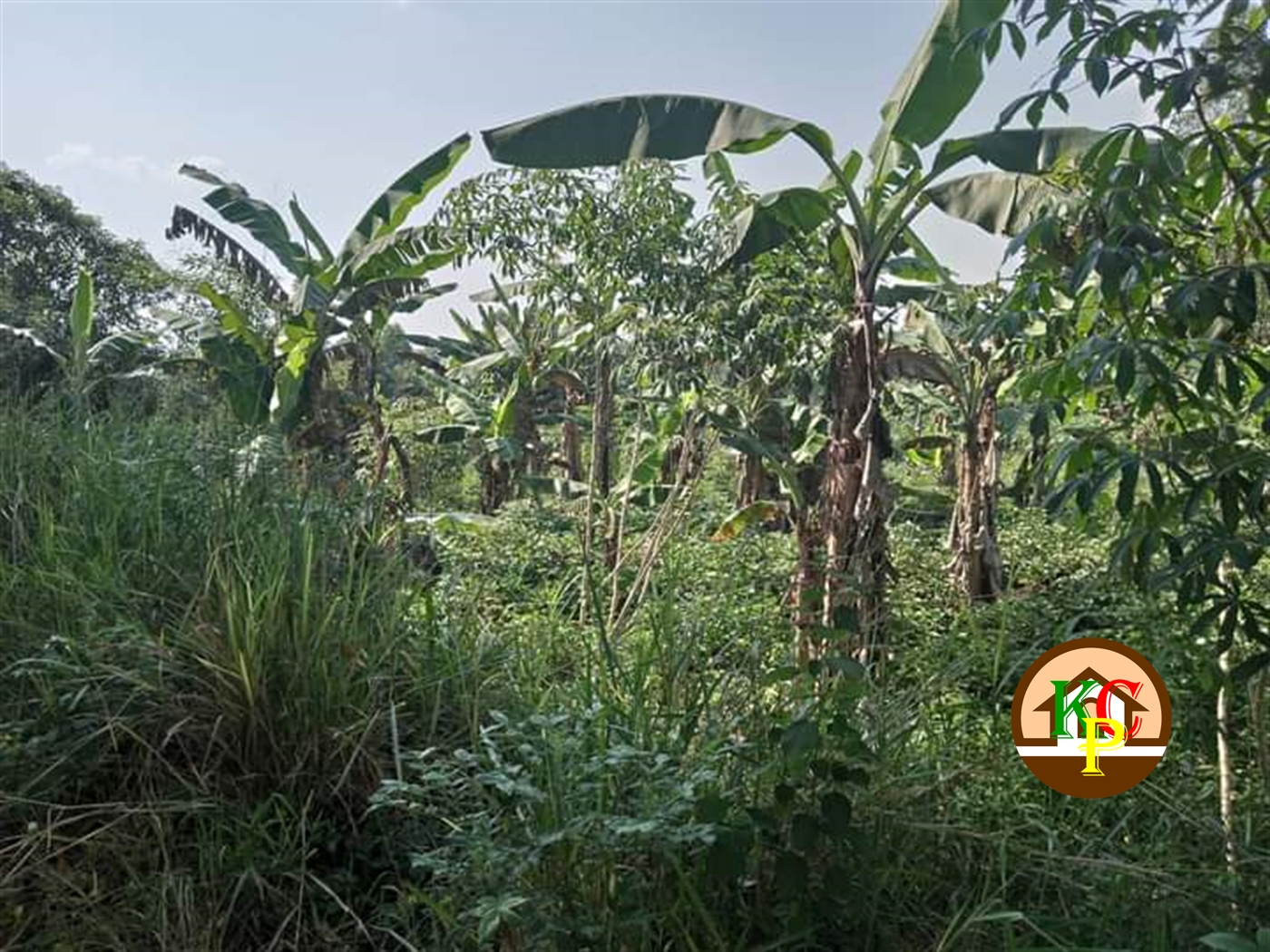 Residential Land for sale in Matugga Wakiso