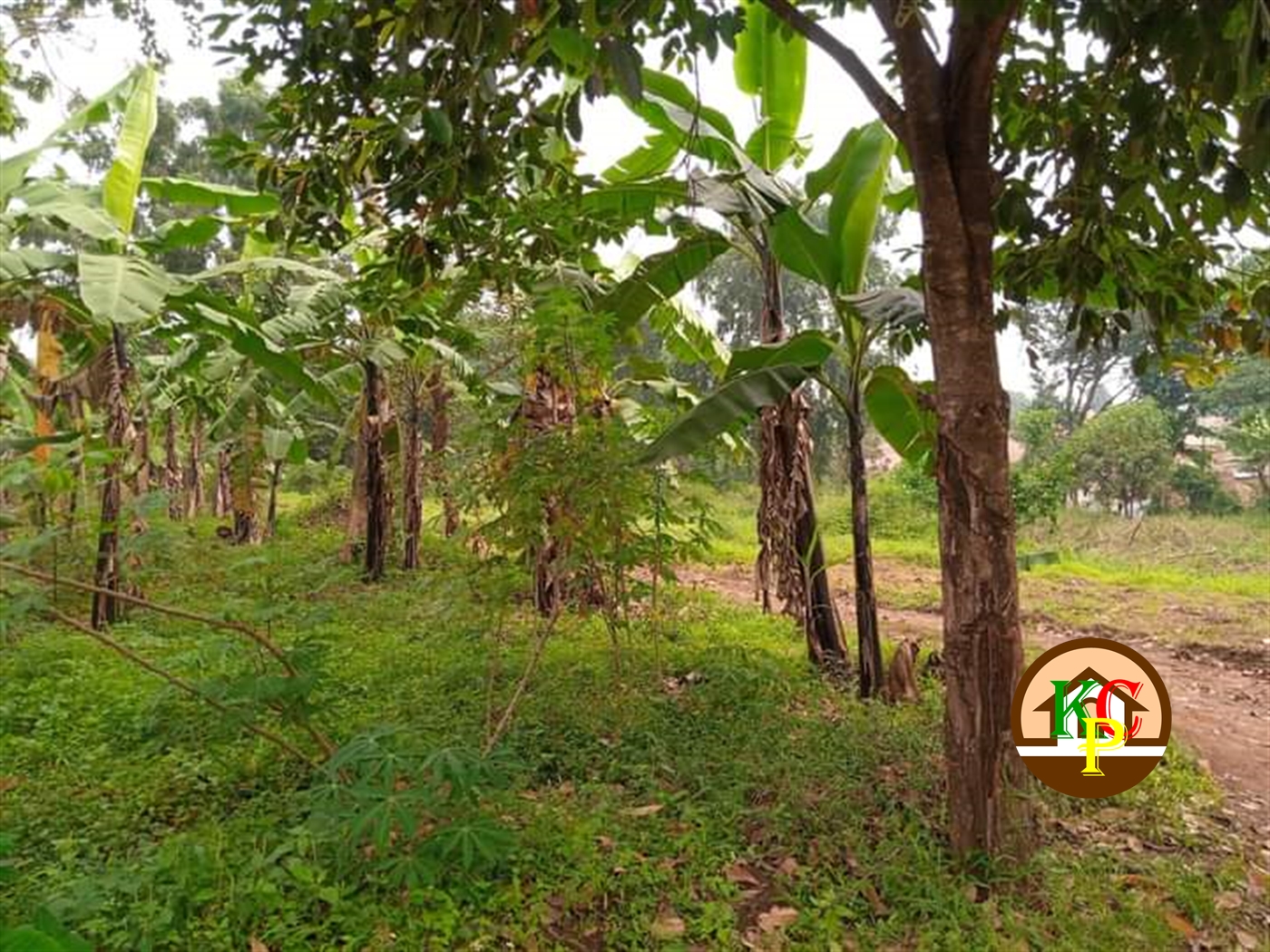 Residential Land for sale in Namugongo Wakiso