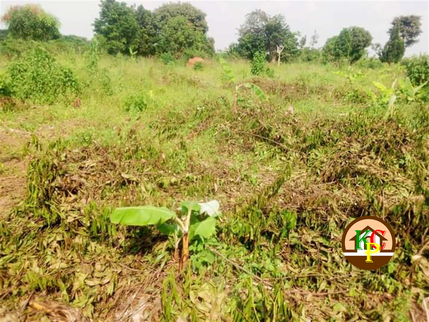 Residential Land for sale in Wobulenzi Luweero