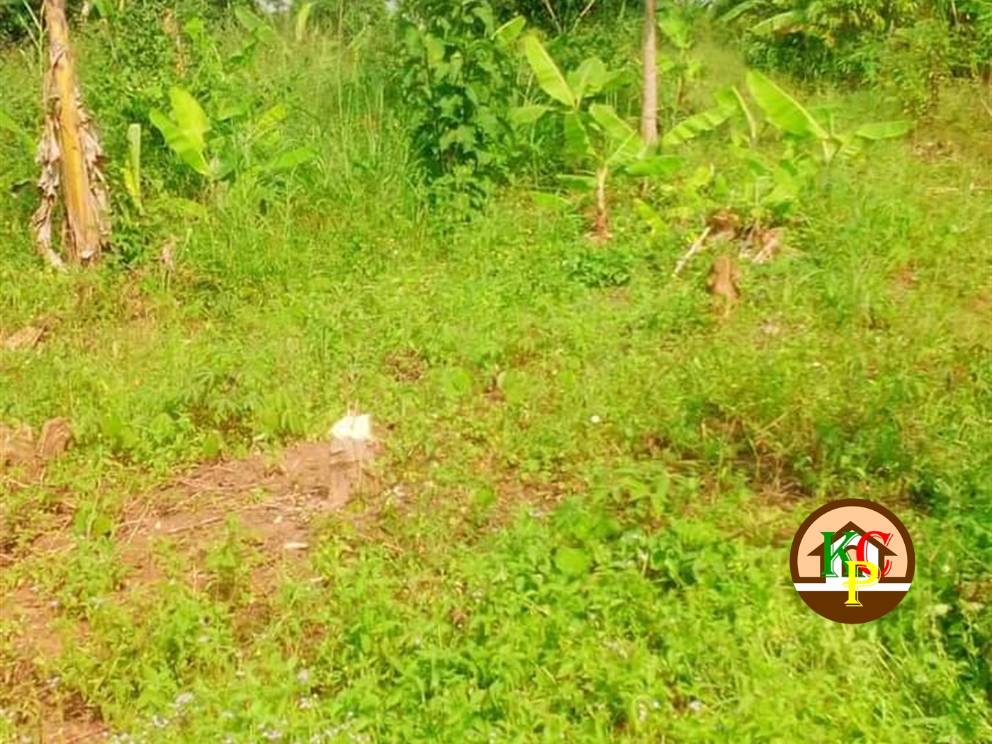 Residential Land for sale in Wobulenzi Luweero