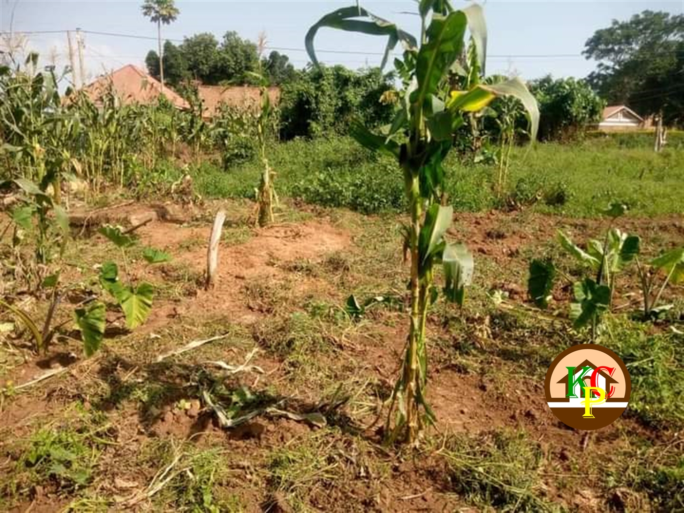 Residential Land for sale in Seeta Mukono