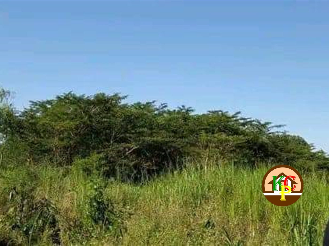 Residential Land for sale in Ziloobwe Luweero