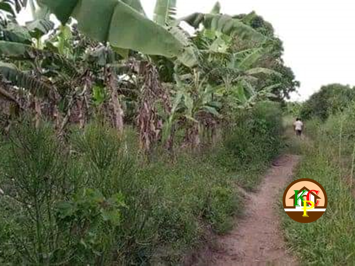 Residential Land for sale in Wabusaana Luweero