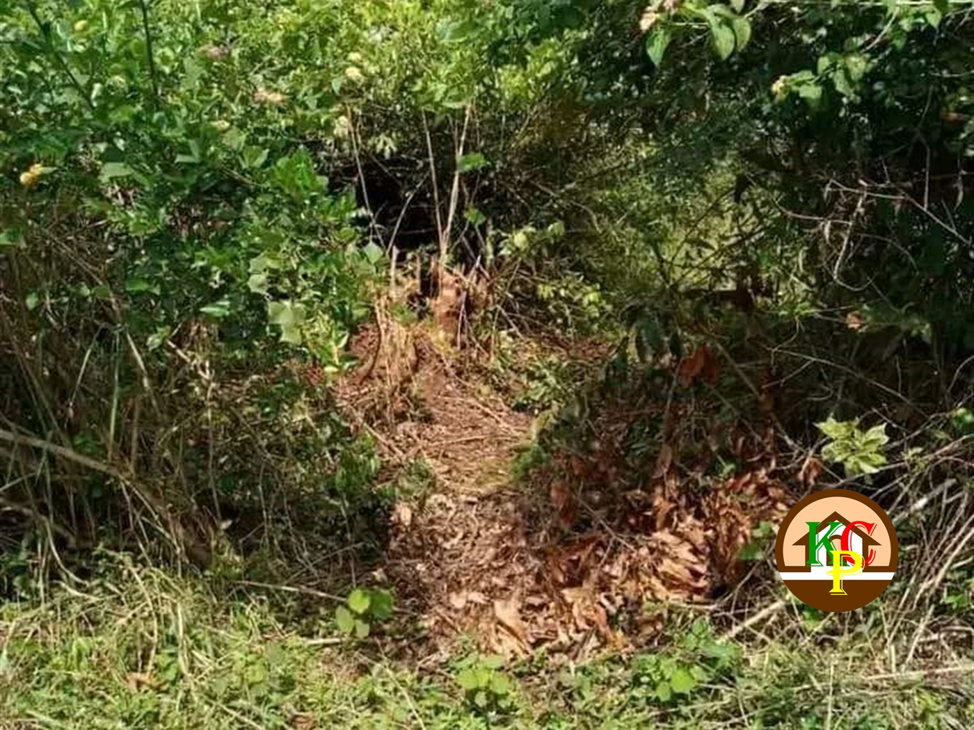 Residential Land for sale in Kireka Wakiso