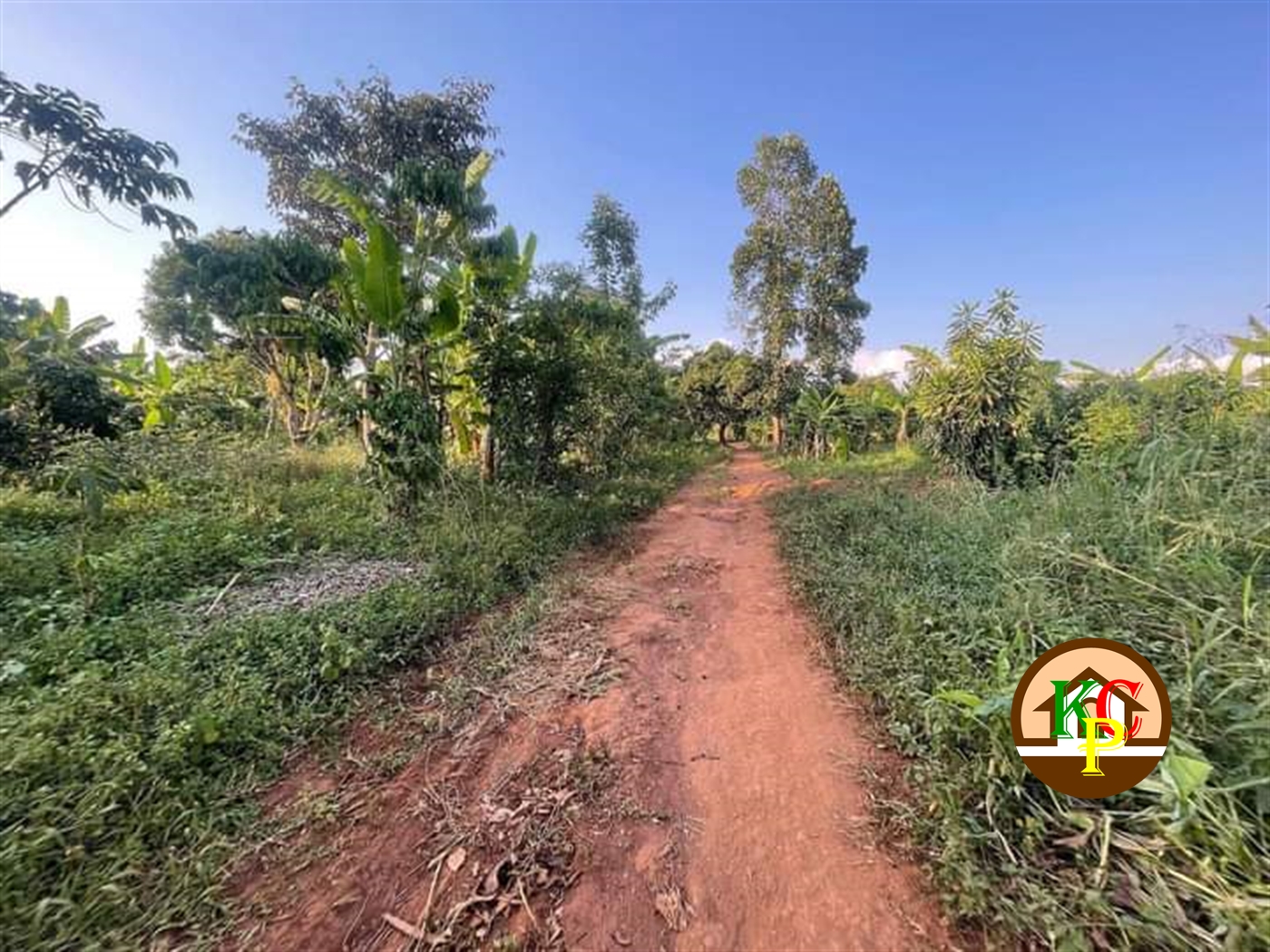 Residential Land for sale in Busiika Wakiso